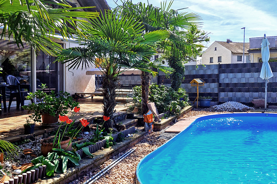 Pool-Einfassung und Randbepflanzung von PRISCO Gartenbau